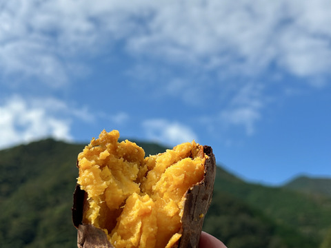 【年末大特価】紅はるか(ML)と安納芋（２Ｓ~Ｓ）２０kgセット！栽培期間中農薬不使用の「さつまいも」