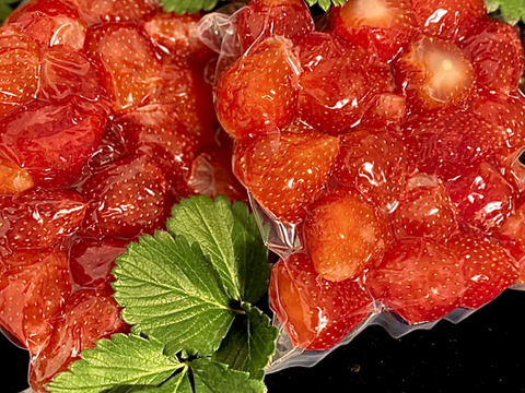 料理屋さん向き 髙橋農園の厳選凍結苺 ラージ 1キロセット 500gパック 2 栃木県産 食べチョク 農家 漁師の産直ネット通販 旬の食材を生産者直送