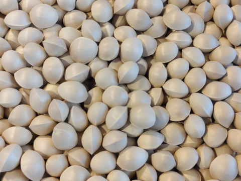 里山の秋の味覚 銀杏300ｇ