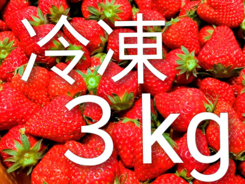 大大満足！贅沢『冷凍イチゴ』3kg：愛知県産の紅ほっぺ｜食べ