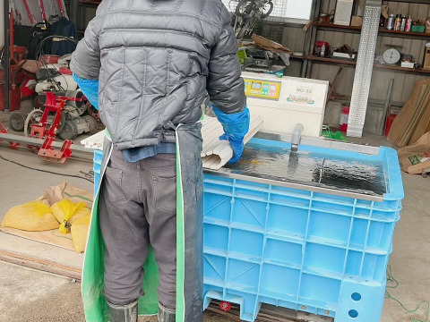 予約開始！！　令和7年新米　新商品！大きい粒でとっても美味しい　雪若丸　玄米10キロ（10キロ1袋）