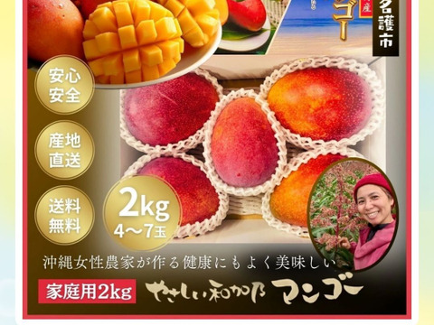 【ご家族で大満足　数量限定】沖縄完熟マンゴー　2kg（4〜6玉）