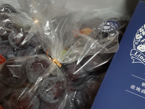 【食べチョクアワード 4年連続受賞！】※ご家庭用 岡山の『ニューピオーネ』 3房～４房 （2㎏程度 化粧箱入）