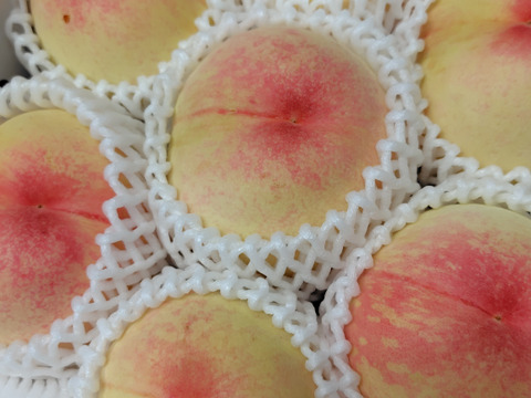 【ご家庭用】白鳳（2kg箱）