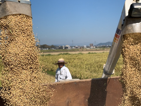 令和2年度産新米！熊本県北産ヒノヒカリ10kg
