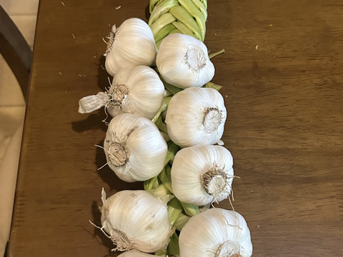 期間限定 自然栽培　結び生にんにく　極上大きめ12個セット