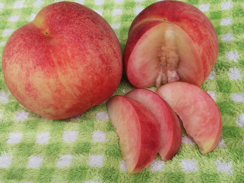 【べにみなみ２ｋｇ】糖度18°前後。 硬くて超甘い高糖度な桃、約２ｋｇ
