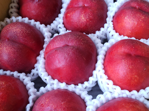 甘くてジューシー！ネクタリン『スイートトップ』(秀品約2㎏) 【お中元対応可】