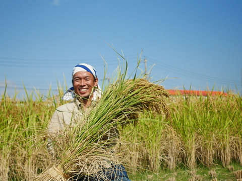 超在来品種！神力-SHINRIKI-自然栽培8年目～神から賜ったお米～（25kg）★玄米・白米・５分づき米選べます★