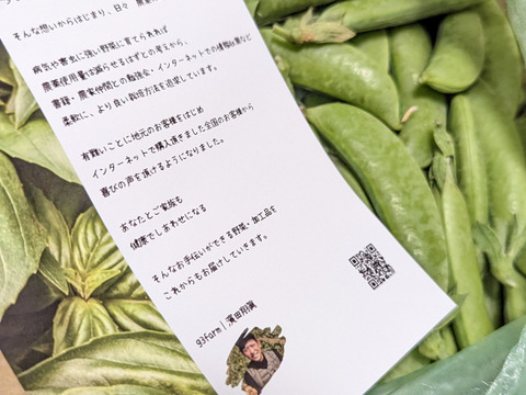 【プリプリ】美里の恵み　プリプリのスナップエンドウ　農薬節約栽培　８００g程度