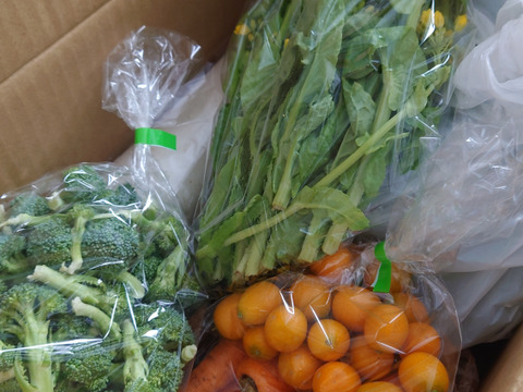 農家直送！規格外・わけあり品セット(A)2,800円分