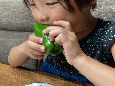 子供も生で食べる！　転換期間中有機ピーマン 2kg