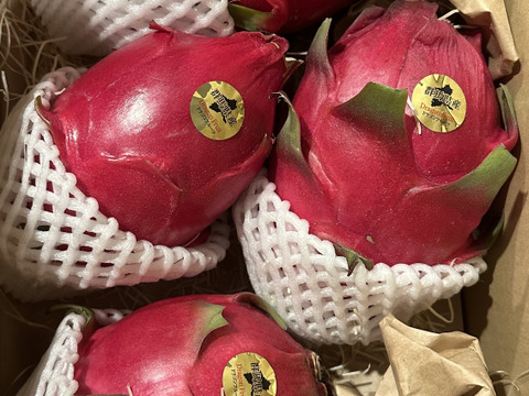 【赤・白】食べ比べセット　紅白セット群馬県産ドラゴンフルーツ２キロ
