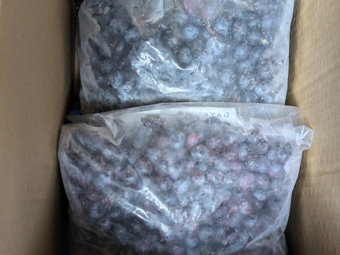 令和7収穫　北海道仁木町産冷凍ブルーベリー3kg【加工用】