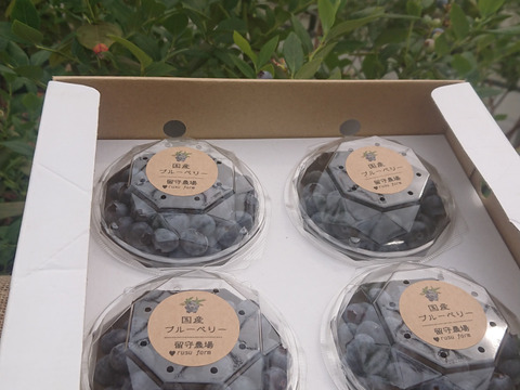 甘い！香る！【生食用】ブルーベリー　100g×4p