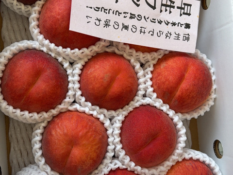 ワッサー　ならお任せ！！　信州ならではの桃　訳あり　ご家庭専用コース　2.8キロ（13から15個入り）　ご好評販売中