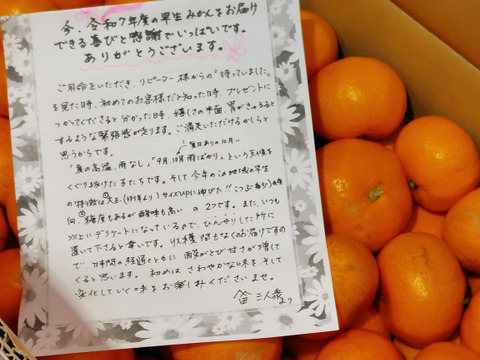 三ヶ日早生みかん「ブサ皮くん」5kg