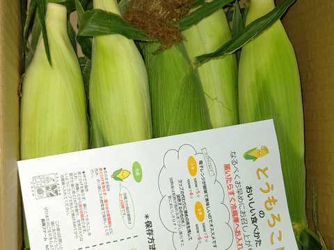 【ご家庭用・訳あり奉仕品】おおもの3kg　糖度20度前後にもなる激甘スーパースイートコーン！！