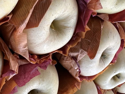 白無垢「はるか」約3kg箱　9〜10玉