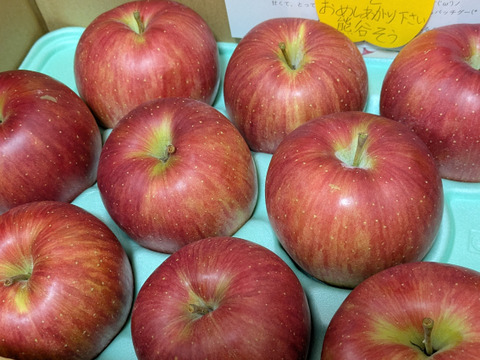 【今が旬】甘さジュワワワァ！(º﹃º`)シナノスイート（3kg）