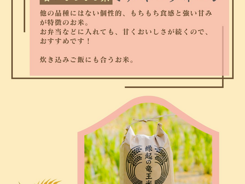 【玄米2kg×2袋】品種おまかせ食べ比べセット！令和7年産特別栽培米！1750年から続くお米農家が作った『縁起の竜王米』　滋賀県竜王町産 お米