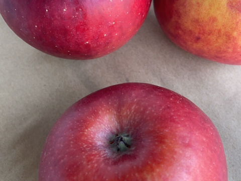 りんご アニーエリザベス (キズ有B品2㎏)