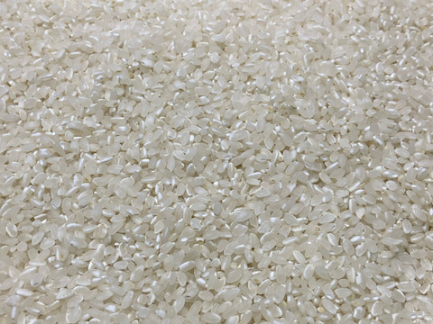 令和７年9月に刈り取りました新米☆☆いのちの壱(超大粒)☆酵素散布米いのちの壱 玄米1キロ以内精米無量