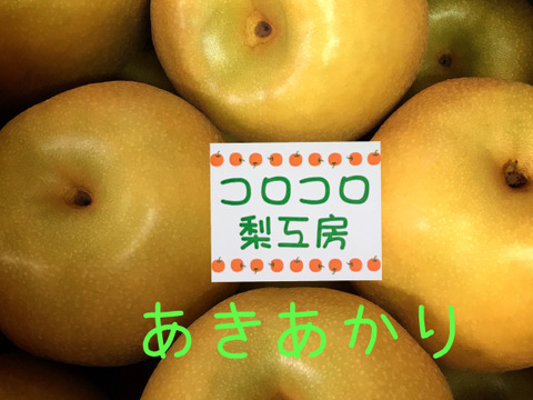 【激レア品種②】とにかく甘い‼️あきあかり梨約2.2kg(小玉8個入)✨️豊水・幸水より甘い!!キメ細かでとってもジューシー💦
日持ち良し‼️