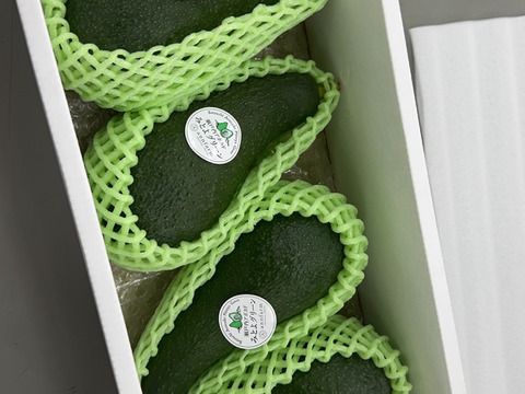 森から生まれた美味しい宝石　瀬戸内アボカド「みとよグリーン」