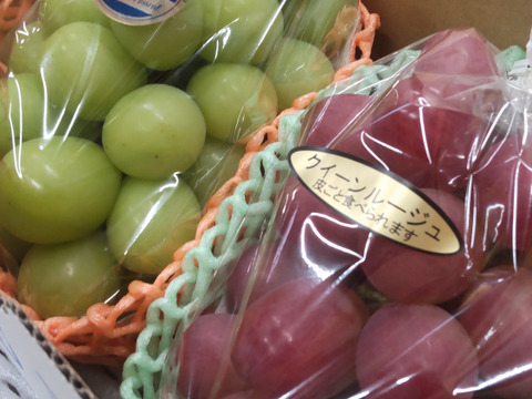 長野県産 「クイーンルージュ」「シャインマスカット」 2房入り 合計1000g