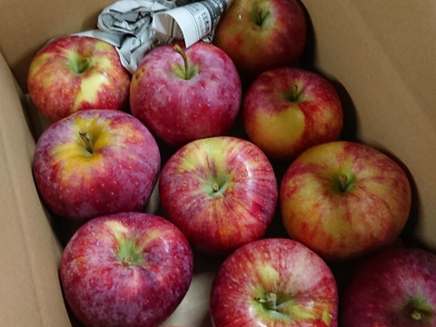 【訳ありにつきお買い得】シナノリップバラ詰め　ご家庭用約１０キロ(5㎏×2ケース）　真夏のジューシーリンゴ！