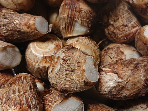 【農薬及び化学肥料不使用】ねっとり滑らかな里芋（3k）