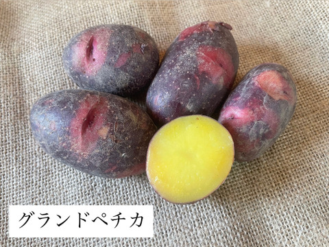 ゴロっと幸せ！食卓の主役★ほくほくジャガイモ！（３〜５種類食べ比べ）1.5kg