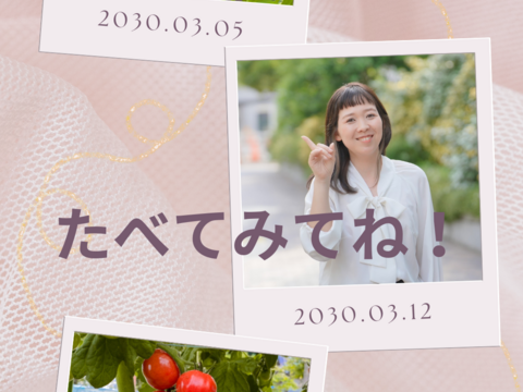 【ひんやり屋】【期間限定でおまけ付き】見た目も味も可愛い！甘ーいプチぷよ！