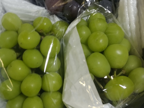 訳あり特価！！　大人気シャイン1房＆ピオーネ2房のぶどう詰め合わせ　２kg☆
