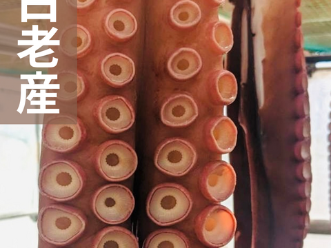 【インパクト大！】北海道白老産　活茹で水だこ（足）1.4㎏1本【1本真空加工】