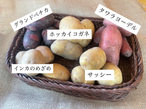 ゴロっと幸せ！食卓の主役★ほくほくジャガイモ！（３〜５種類食べ比べ）1.5kg