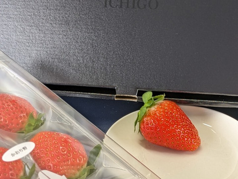 厳選いちご２種食べ比べセット　８～１１玉入り約２７０g×２パック　【化粧箱でお届けします】