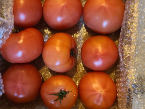 🍅完熟ジューシー！濃い味トマト たっぷり3㎏前後