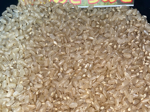 令和７年9月に刈り取りました。
新米☆☆にじのきらめき(大粒)☆酵素散布米
にじのきらめき 玄米２キロ精米無量