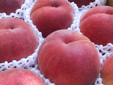 硬くて甘い桃！「なつっこ」(秀品) 約2㎏