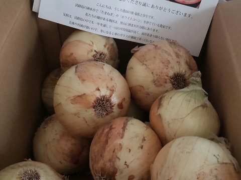春のSALE‼️【正品+訳あり・混合セット】淡路島　 新玉ねぎ！みずみずしく、柔らか〜い！5ｋｇ【ひょうご安心ブランド認証】特別栽培　早生　サラダ