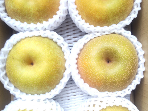 【幸水２ｋｇ】高原の「幸水」は硬さ、シャリ感、ジューシー、甘さが違う。④海藻エキス投与で、コクと旨味のある梨にグレードアップ！【秀品】先行販売3