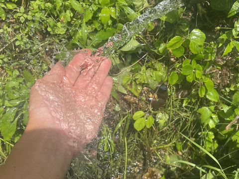 年末セール☃️きてらのコシヒカリ🌟島根県・山のお米！弥栄-玄米30kg-農薬不使用-隠れた名産地‼︎‼︎