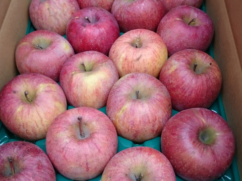 節減対象農薬：当地比5割減栽培、化学肥料除草剤不使用　長野りんご　サンふじ　5キロ