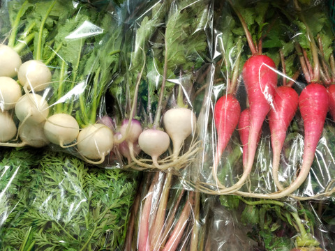 【春めく菜花やつぼみ菜入り】おまかせ野菜セット10種前後～