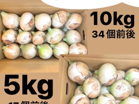農家直送!! 淡路島産ブランド新玉ねぎ 『にじたま』極早生 一級品 5kgダンボール入り（ご家庭用・17個前後） 使いやすいM・L・2L混在！
