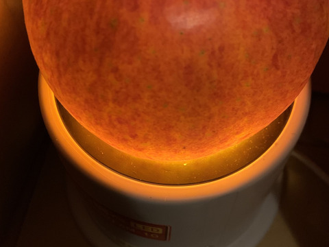 シャキッとジューシー ！長野県 飯綱町 産　蜜入り サンふじ りんご 特価！ 贈答用 ６玉