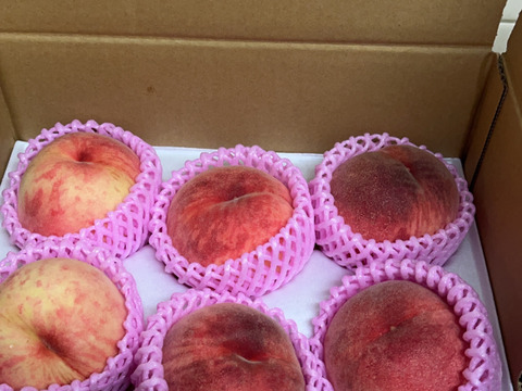 【2026年予約】甘くてジューシー『白鳳』糖度13度以上1.5kg（4-6玉）👑金賞受賞👑全国桃グランプリ2024「やわらかい桃部門」