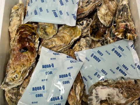 バラ牡蠣　 生食可　7kg （45～60個くらい）
